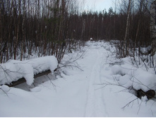 DSCN4434.JPG