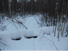 DSCN4436.JPG
