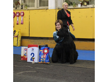 1-IMG_7584.JPG