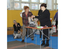 1-IMG_7466.JPG
