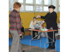 1-IMG_7467.JPG