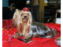 1-IMG_7487.JPG