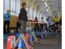 1-IMG_7429.JPG