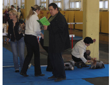 1-IMG_7442.JPG