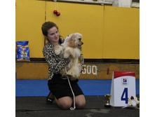 1-IMG_7564.JPG