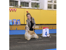 1-IMG_7567.JPG