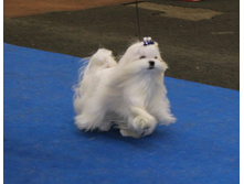 1-IMG_7596.JPG