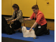1-IMG_7617.JPG