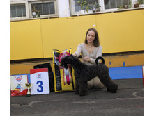 1-IMG_7625.JPG