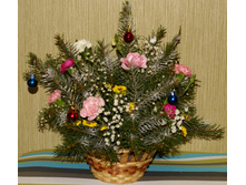 dsc03234.JPG