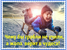 � ���� �����.jpg