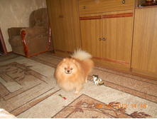 DSCN0260.JPG