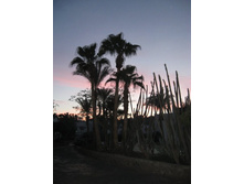 11124295_IMG_1007.jpg