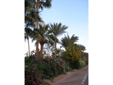 11124397_IMG_0999.jpg