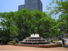 z_8516d0d8.jpg