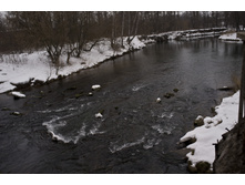 DSCF3171.jpg