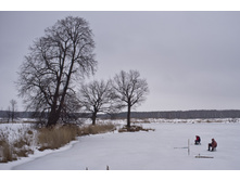 DSCF3187.jpg