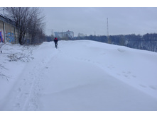 DSCF3325.JPG
