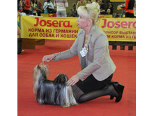 1-IMG_7725.JPG