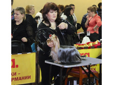 1-IMG_7727.JPG