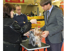 1-IMG_7728.JPG