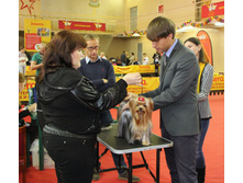 1-IMG_7730.JPG