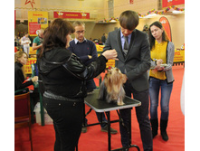1-IMG_7731.JPG