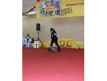 1-IMG_7736.JPG