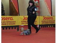 1-IMG_7738.JPG