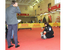 1-IMG_7739.JPG