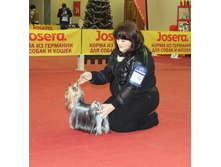 1-IMG_7741.JPG