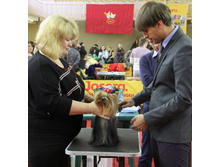 1-IMG_7747.JPG