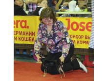 1-IMG_7765.JPG