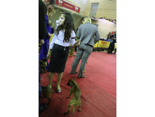 1-IMG_7789.JPG