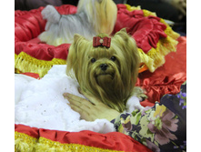 1-IMG_7790.JPG