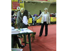 1-IMG_7791.JPG