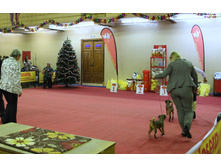 1-IMG_7803.JPG