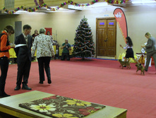 1-IMG_7804.JPG