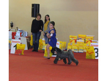 1-IMG_7811.JPG