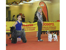 1-IMG_7821.JPG