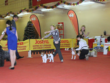 1-IMG_7822.JPG