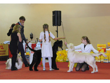 1-IMG_7824.JPG