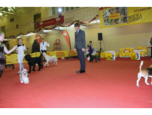 1-IMG_7825.JPG