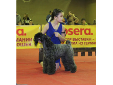 1-IMG_7828.JPG