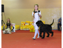 1-IMG_7843.JPG