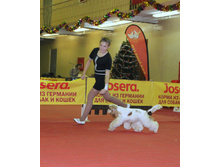 1-IMG_7857.JPG