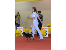 1-IMG_7862.JPG