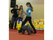 1-IMG_7864.JPG