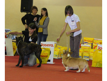 1-IMG_7868.JPG