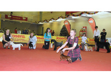 1-IMG_7877.JPG